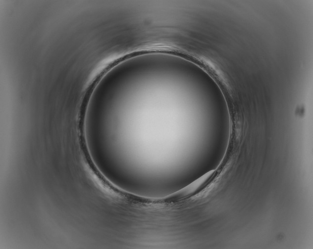 X0000090911422200707301424