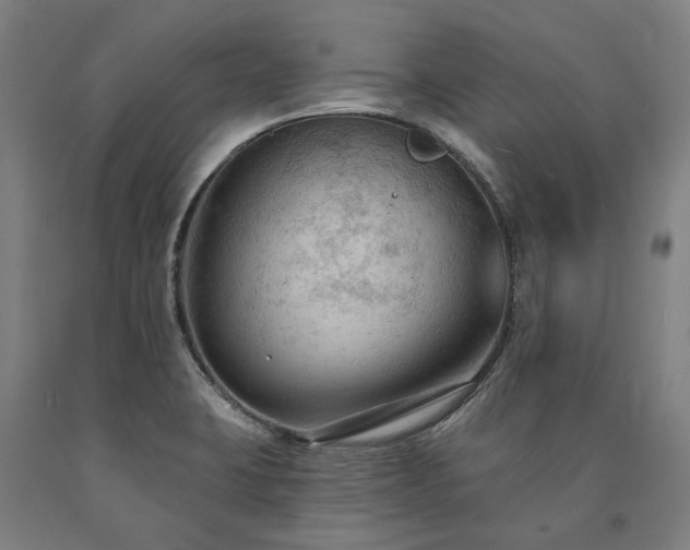 X0000090911423200707301424