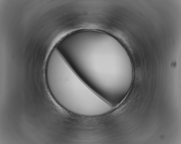 X0000090911424200707301424
