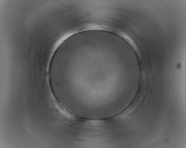 X0000090911427200707301424