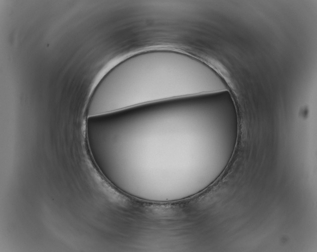 X0000090911428200707301424