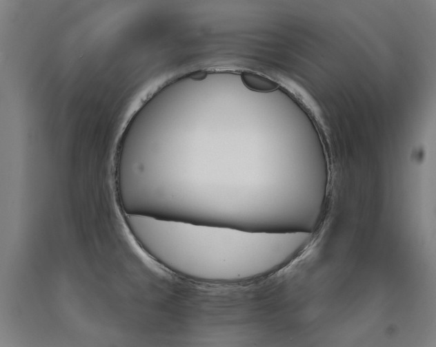 X0000090911429200707301424