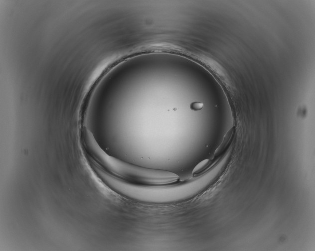 X0000090911430200707301424