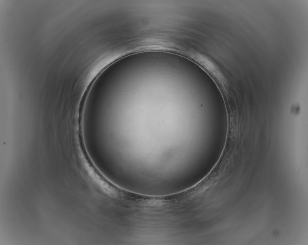 X0000090911431200707301424