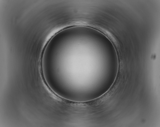 X0000090911432200707301425