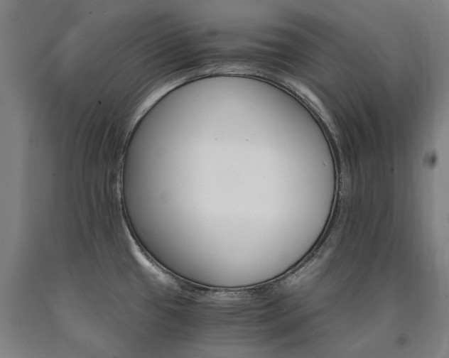X0000090911433200707301425