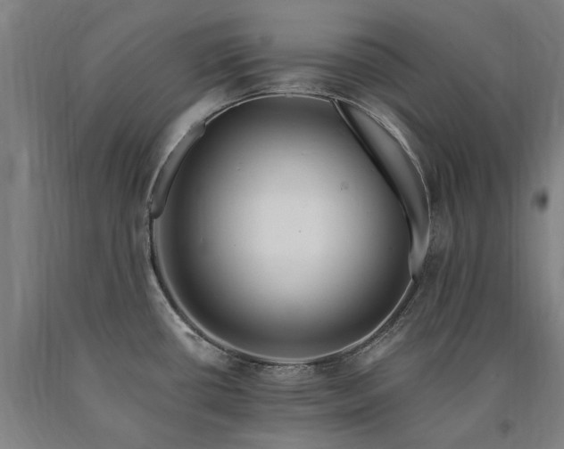 X0000090911434200707301425