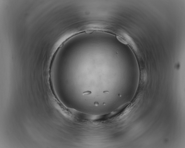 X0000090911435200707301425