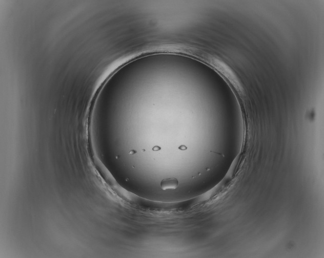X0000090911436200707301425