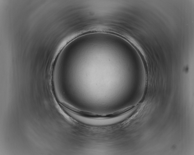 X0000090911437200707301425