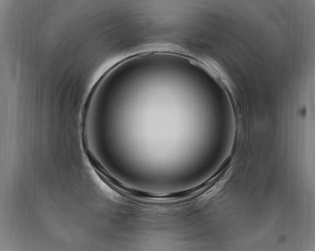 X0000090911438200707301425