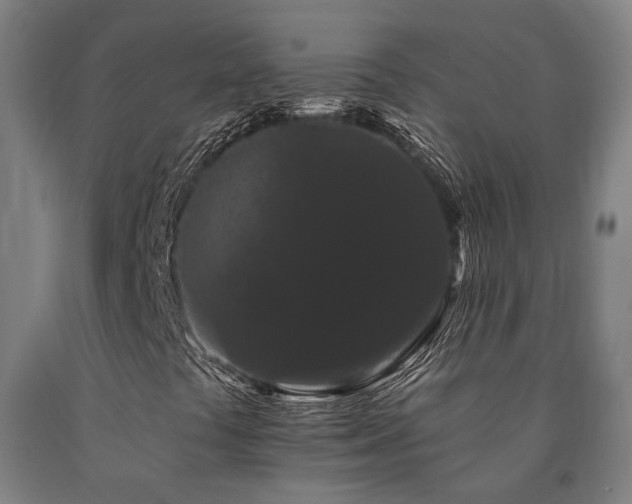 X0000090911441200707301424