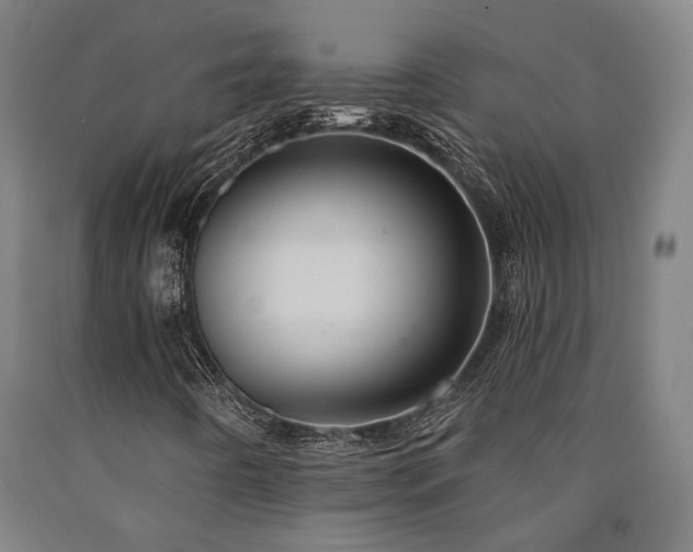 X0000090911442200707301424