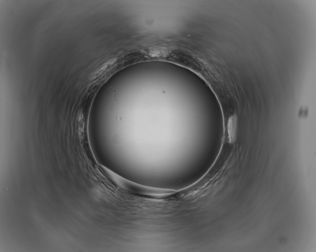 X0000090911443200707301424