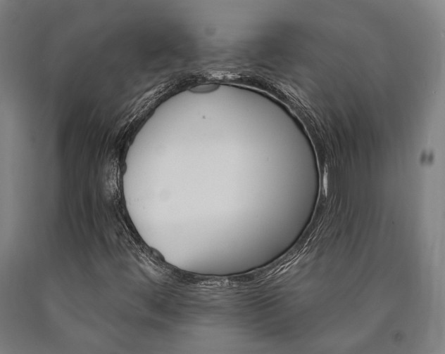 X0000090911444200707301424