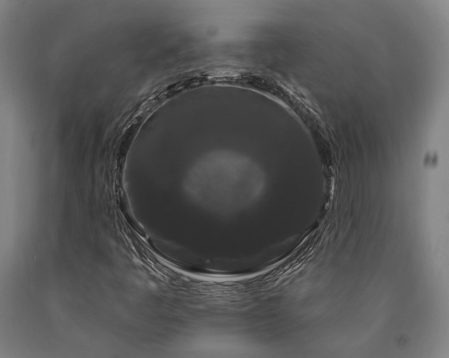 X0000090911445200707301424