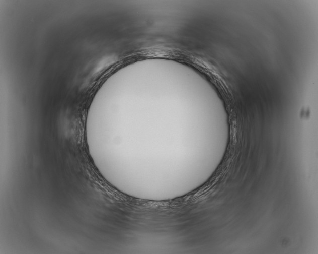 X0000090911446200707301424