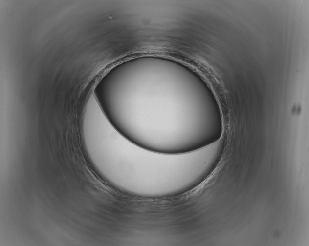 X0000090911449200707301424