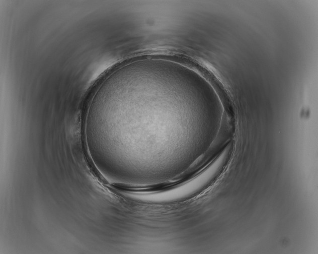 X0000090911450200707301424