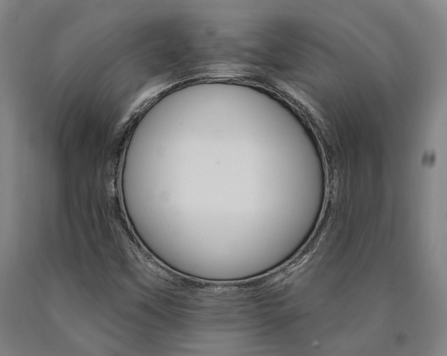 X0000090911451200707301424