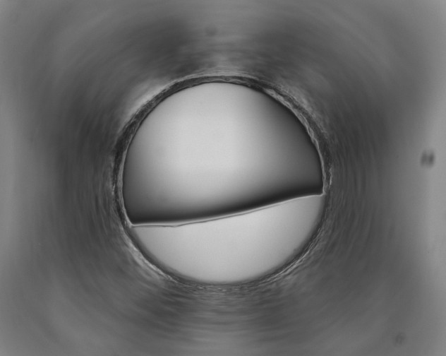X0000090911452200707301424