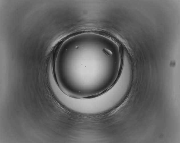 X0000090911453200707301424