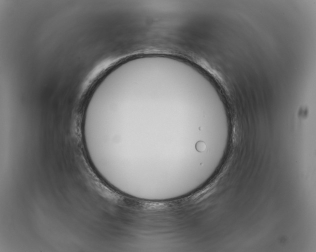 X0000090911454200707301424