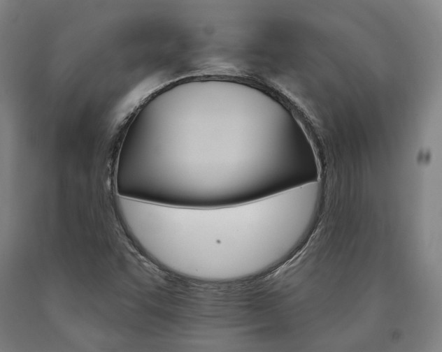 X0000090911455200707301424