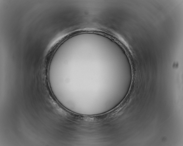 X0000090911456200707301424