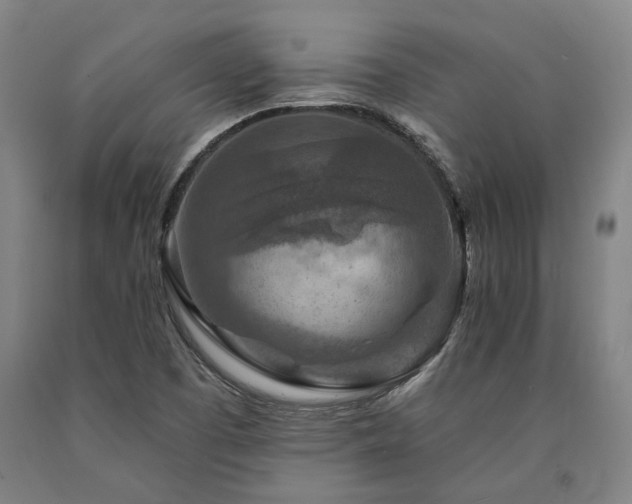 X0000090911457200707301424