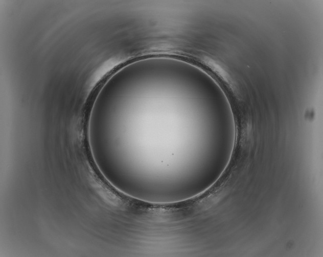 X0000090911458200707301424
