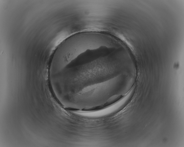 X0000090911459200707301424