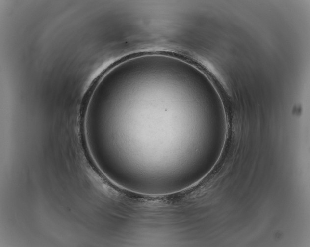 X0000090911460200707301424