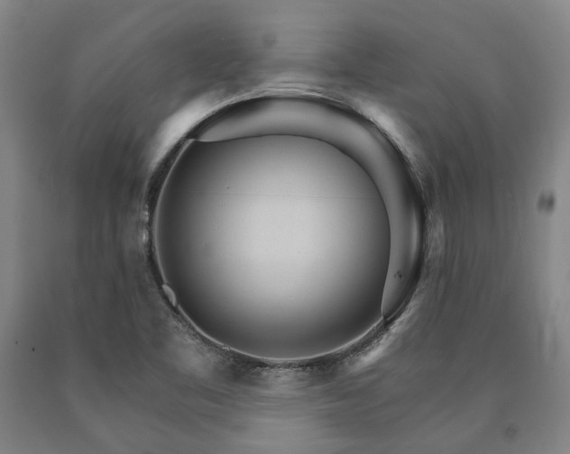 X0000090911461200707301424
