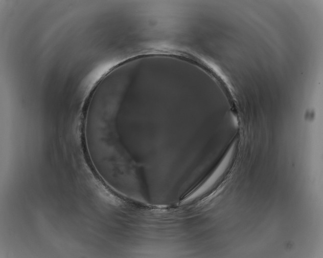 X0000090911463200707301424