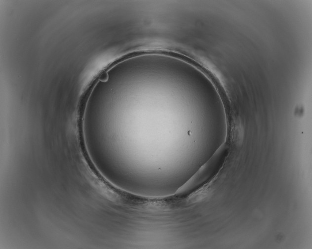 X0000090911464200707301424