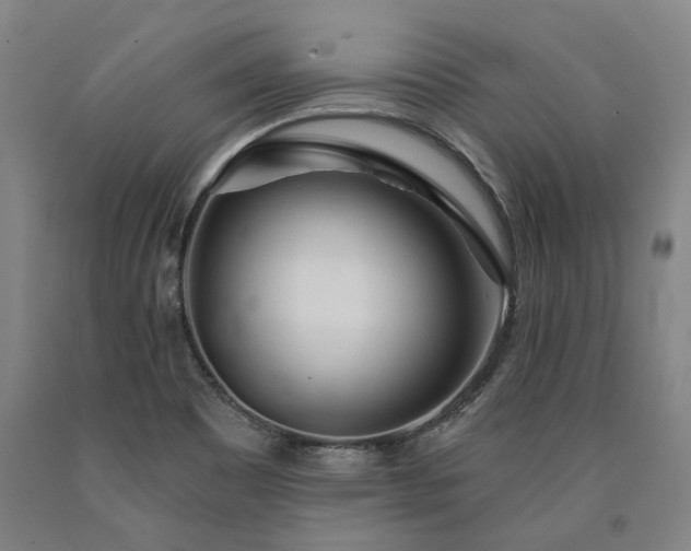 X0000090911465200707301424