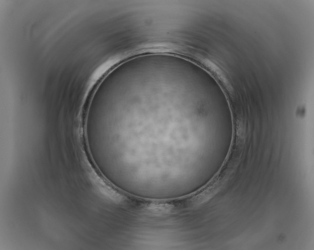 X0000090911466200707301424