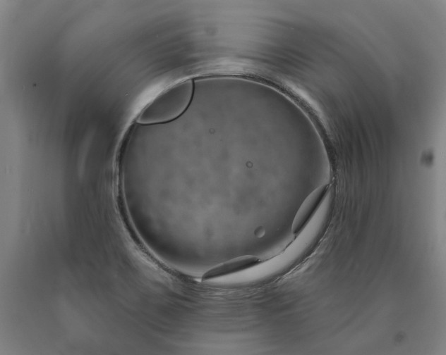 X0000090911467200707301424