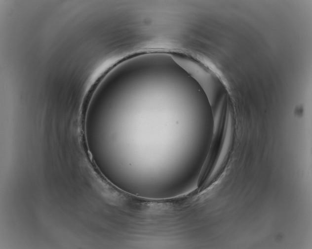 X0000090911469200707301423