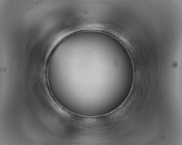 X0000090911470200707301423