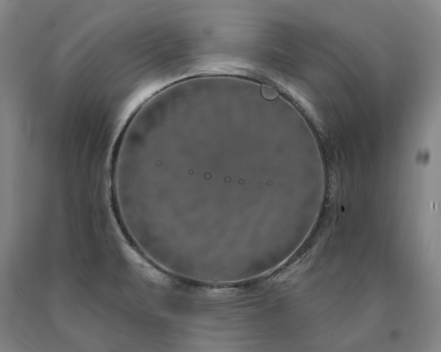 X0000090911471200707301423
