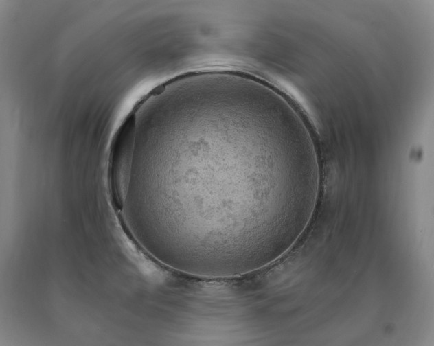 X0000090911472200707301423