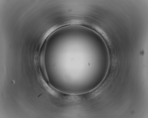 X0000090911473200707301423