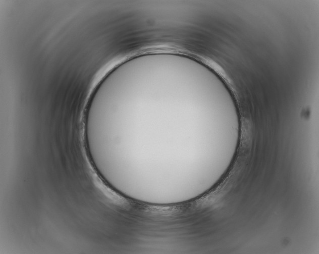 X0000090911474200707301423