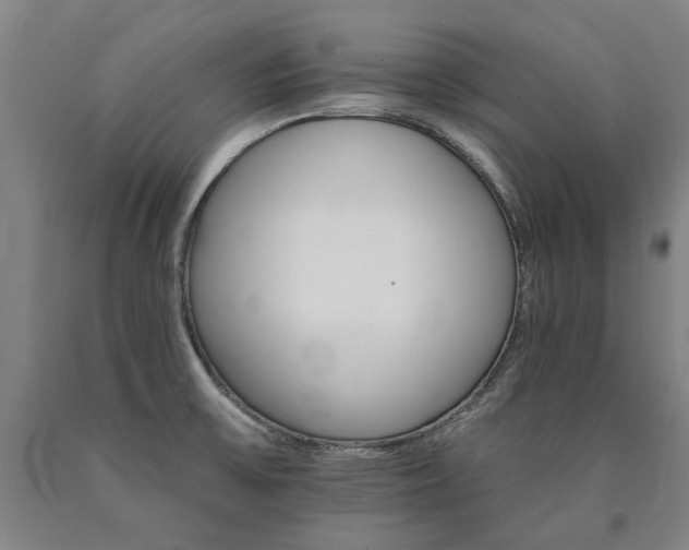 X0000090911475200707301423
