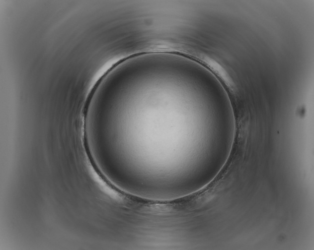 X0000090911476200707301423