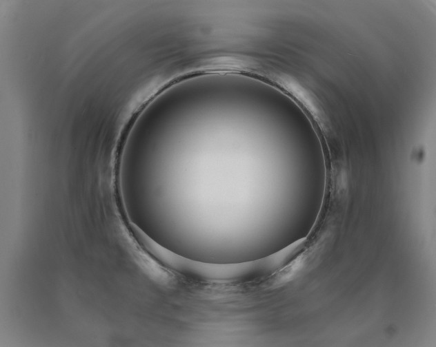 X0000090911477200707301423