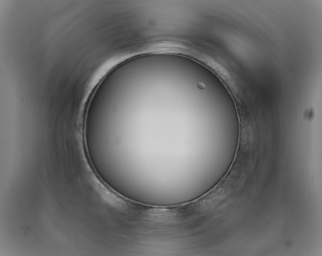 X0000090911478200707301423