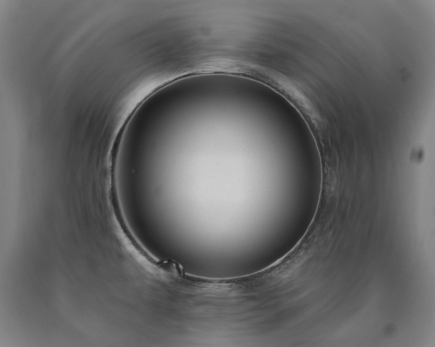 X0000090911479200707301423
